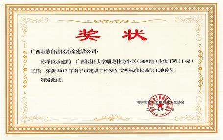 南寧分公司四個(gè)項(xiàng)目獲表彰！