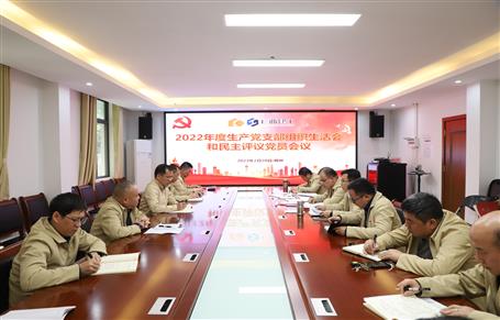 廖立波、唐峰、何勇以普通黨員身份參加所在黨支部2022年度組織生活會(huì)